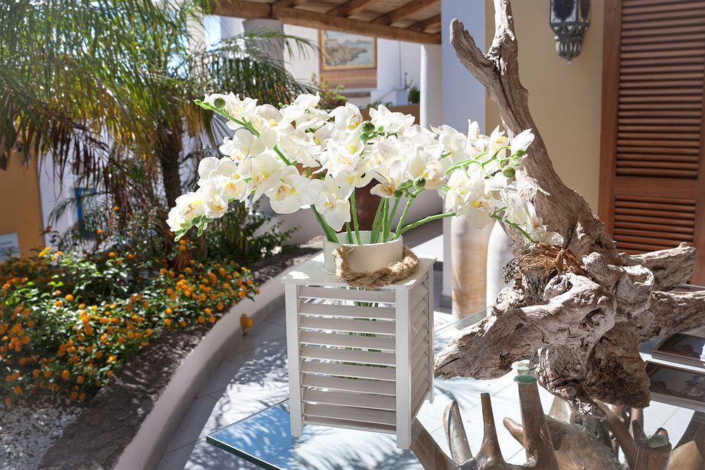 Oasi Hotel 4*